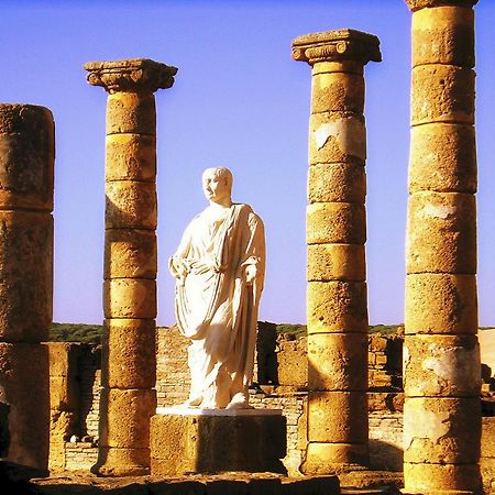 Apartamentos Turisticos Trajano بولونيا المظهر الخارجي الصورة
