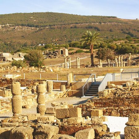 Apartamentos Turisticos Trajano بولونيا المظهر الخارجي الصورة