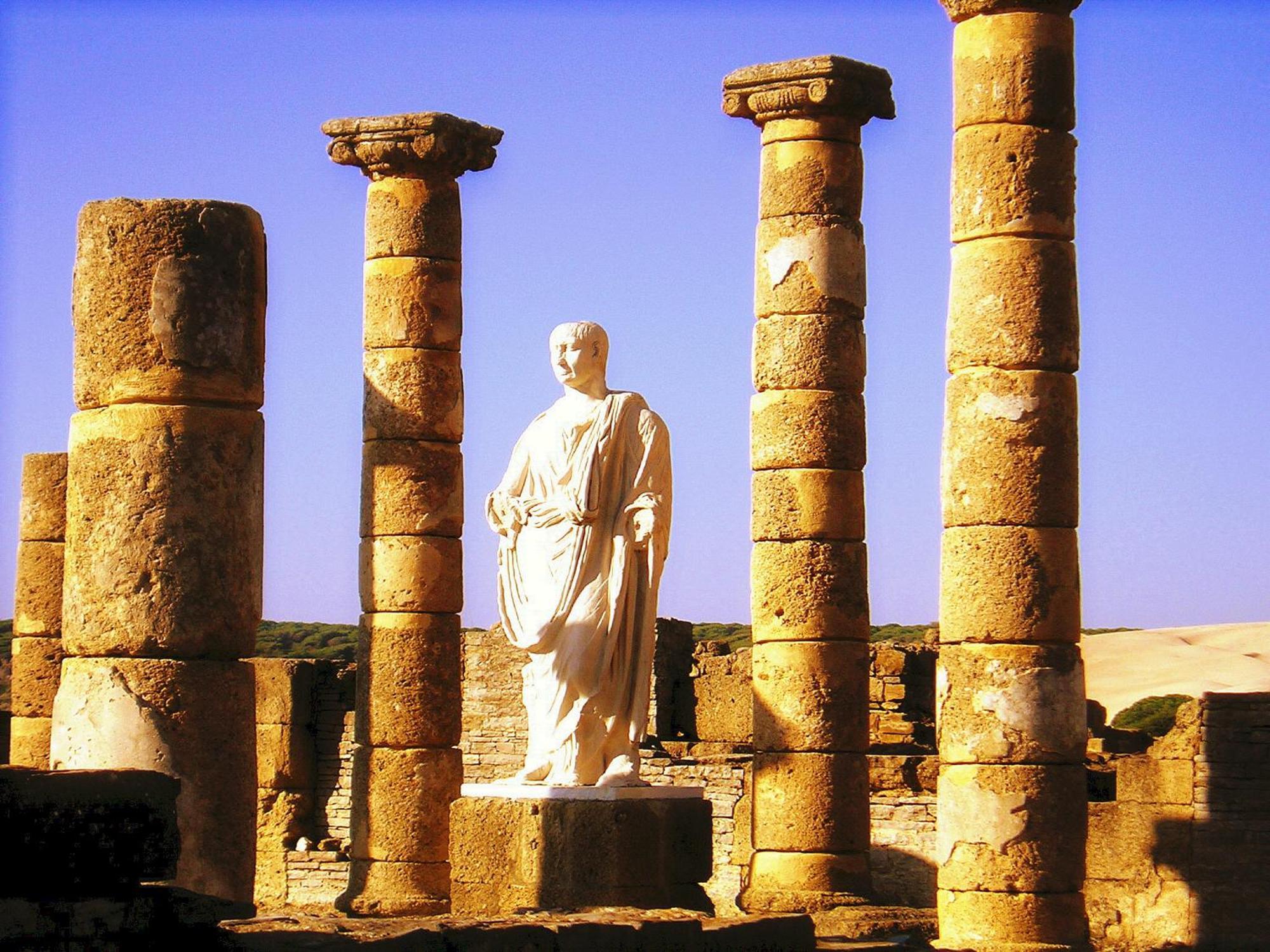 Apartamentos Turisticos Trajano بولونيا المظهر الخارجي الصورة